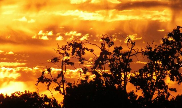 Swiss Tamil News,சுவிற்சர்லாந்தில்