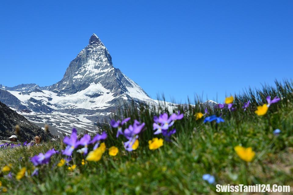 சுவிட்சர்லாந்து சுற்றுலாத்துறையில் சரிவு – காரணம் வெளியாகியது.!!