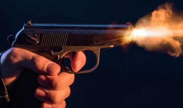 சுவிஸ் அரசு,அதிரடி அறிவிப்பு,சுட்டுக்கொல்லுங்கள்,சுவிட்சர்லாந்தில்,ஓநாய்களை,சுட்டு கொல்வதற்கு