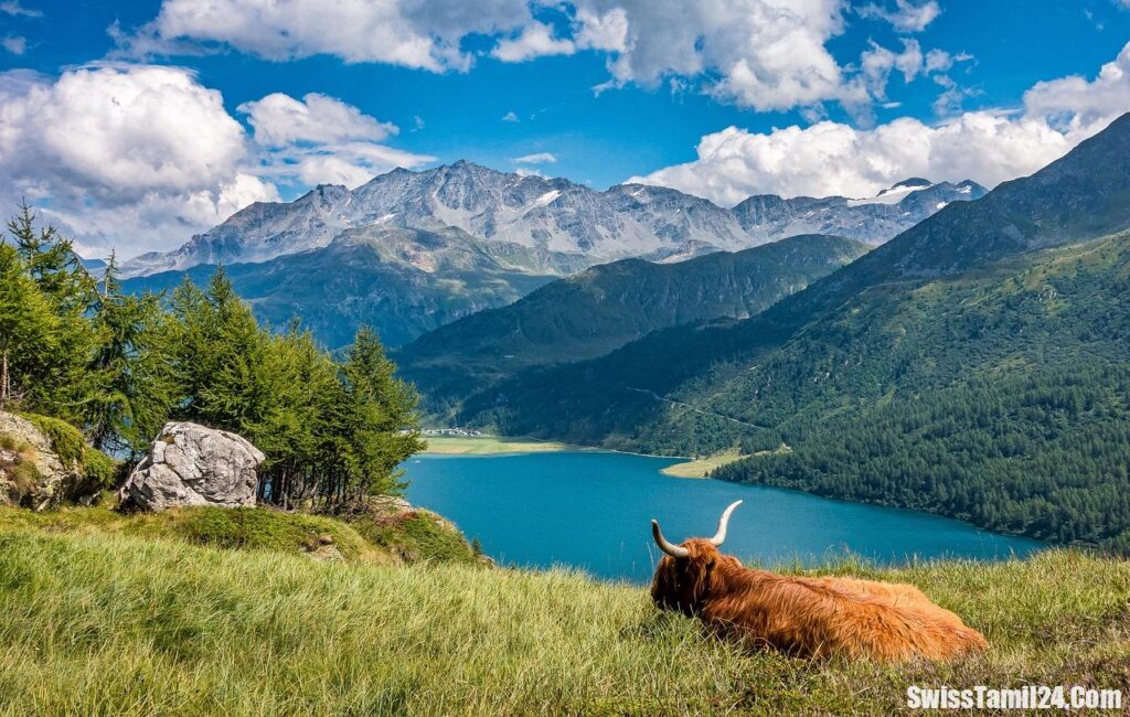 switzerland photos gallery,switzerland images wallpaper,beautiful switzerland,switzerland images in winter,pictures of switzerland mountains,beautiful places in switzerland,most beautiful villages in switzerland,most beautiful city in switzerland