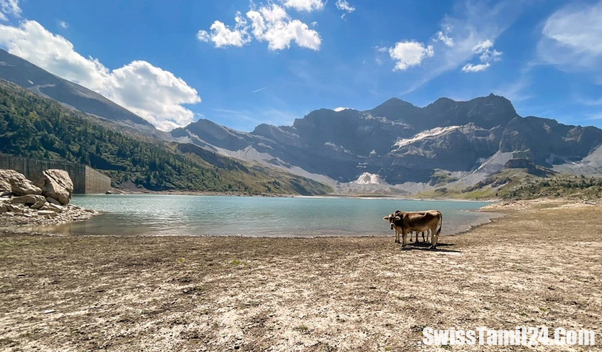 சுவிட்சர்லாந்தில் நீர் மின் திட்டங்களினால் ஆபத்து – எச்சரிக்கை தகவல்.!!