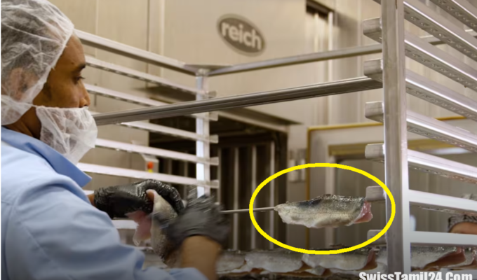 சுவிட்சர்லாந்தில், SwissTamil24, லிஸ்டீரியா, மீன் உணவொன்றை