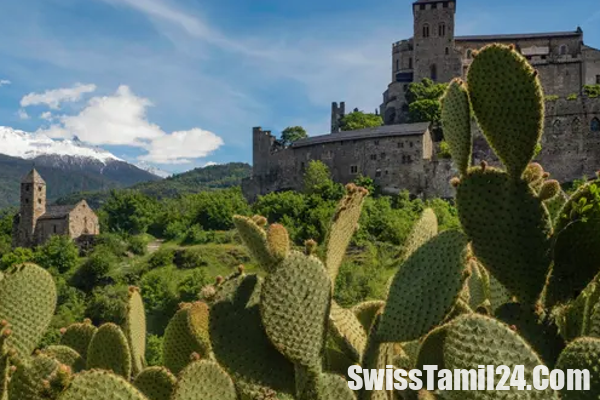 பாலைவனமாகும் சுவிட்சர்லாந்து?: அதிர்ச்சியை ஏற்படுத்தும் காட்சிகள்