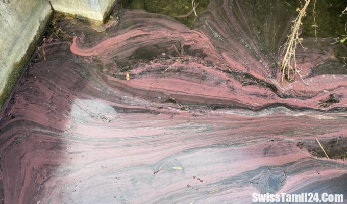 Wasser des Zugersees