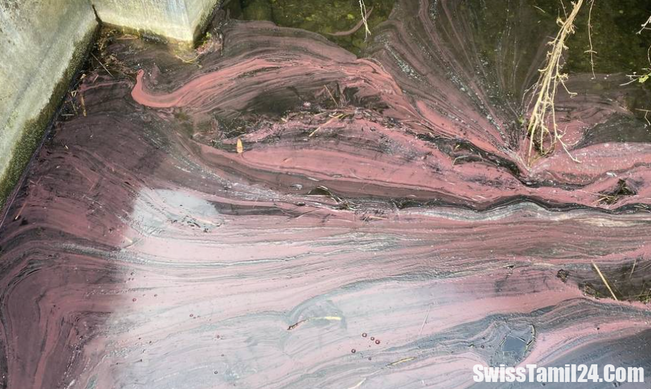 சிவப்பு நிறமாக மாறிய சுவிஸ் ஏரி: எச்சரிக்கை விடுத்துள்ள அதிகாரிகள்