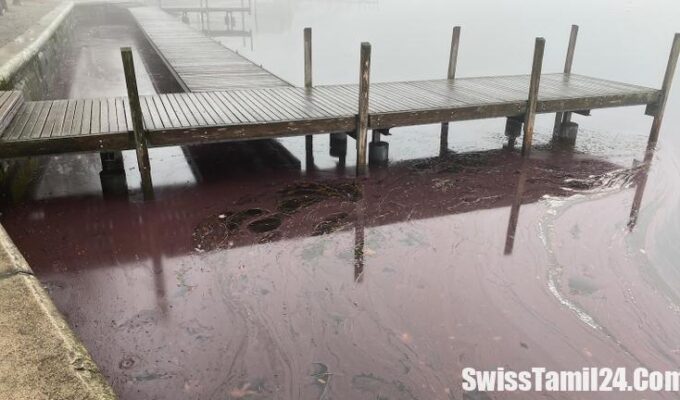 Wasser des Zugersees
