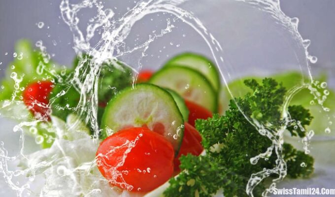 சுவிஸ் உணவகத்தில், சாப்பாட்டில், செத்த எலி, பகீர் சம்பவம், சுவிட்சர்லாந்தில், இளம்பெண்கள், உணவகம், ஜெனீவா மாகாணம்