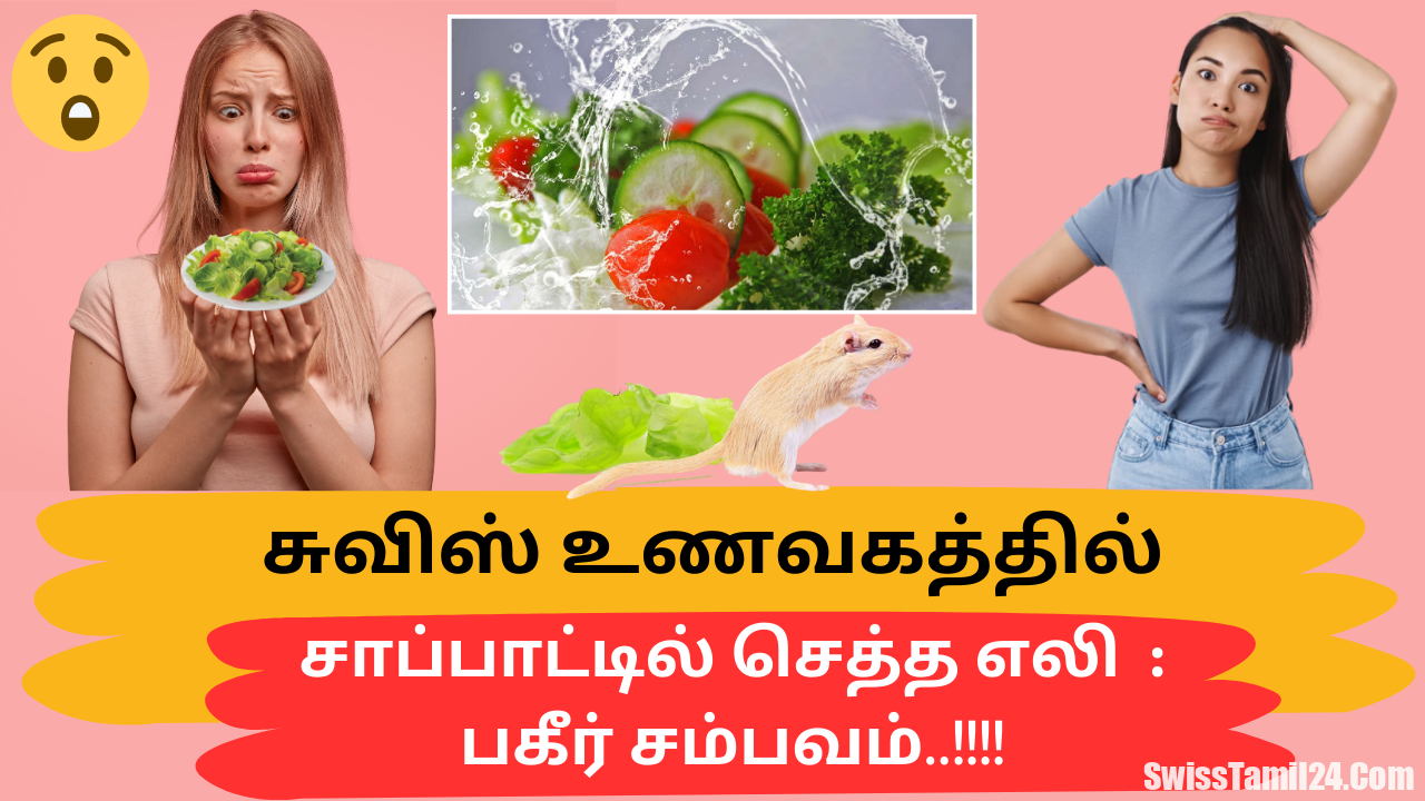 சுவிஸ் உணவகத்தில் சாப்பாட்டில் செத்த எலி : பகீர் சம்பவம்