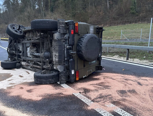 240212 VUMellingen3 528x704 Copy