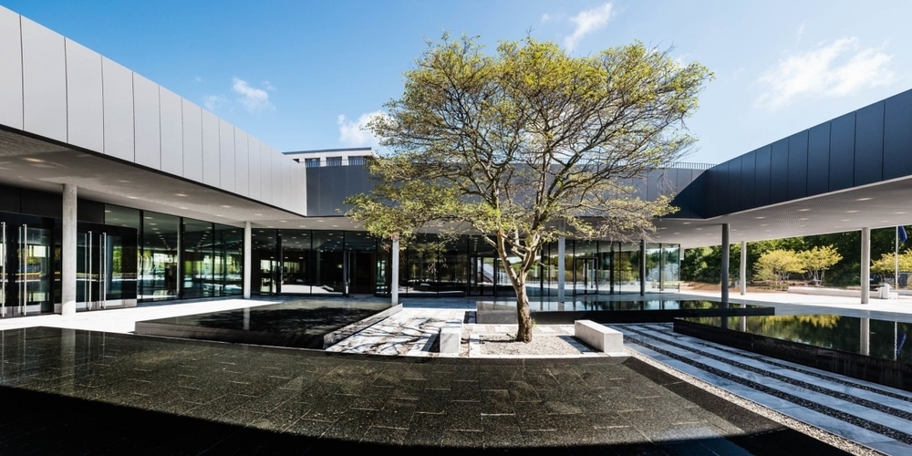 தட்டம்மை தொற்று : லவுசானிலுள்ள பள்ளி வளாகம் மூடப்பட்டுள்ளது