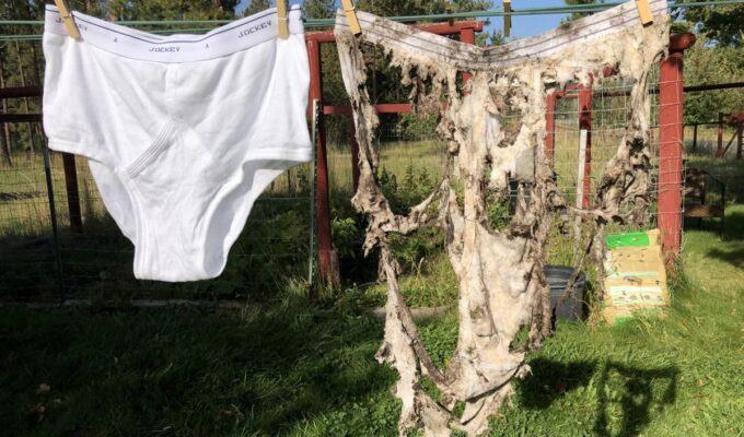 சுவிட்சர்லாந்தில் 