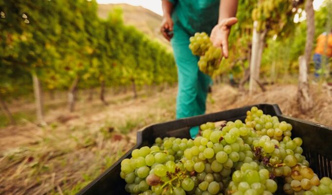 சுவிட்சர்லாந்தில்