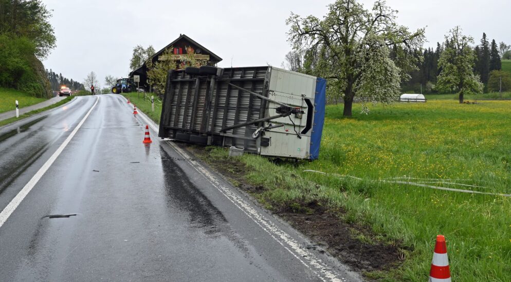 லுசேர்னில் பன்றிகளை ஏற்றிச்சென்ற வாகனம் விபத்து.!!