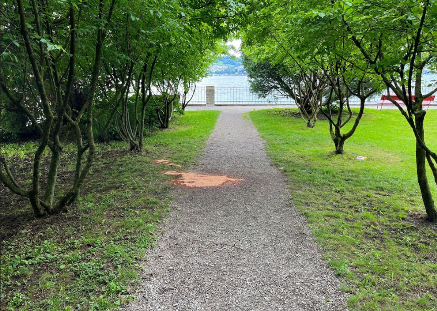 Männedorf “நிர்வாண கொலையாளி” : வெளியான புதிய தகவல்கள்