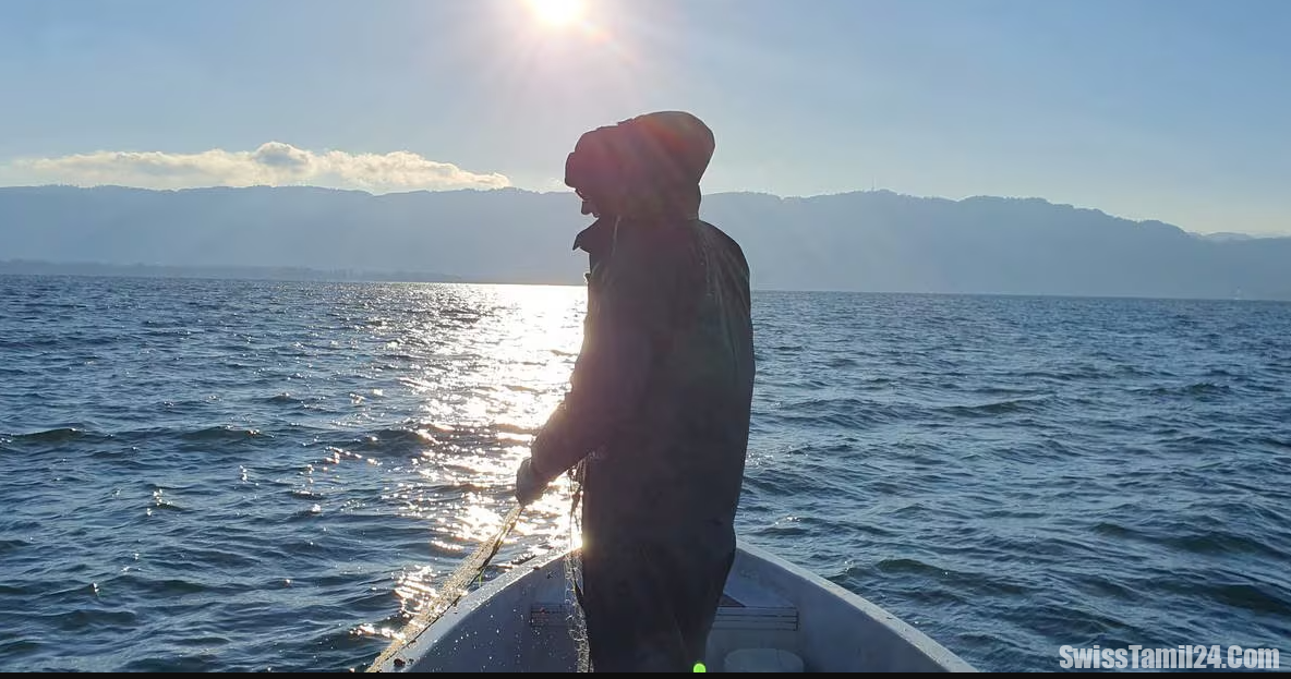 கான்ஸ்டன்ஸ் ஏரியில் மீனவர்களின் வருமானம் வீழ்ச்சி