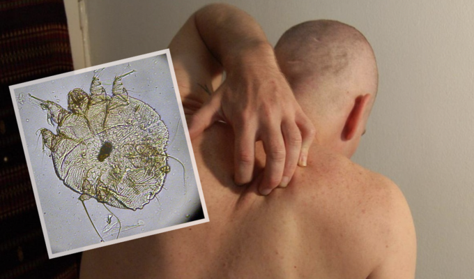 சுவிட்சர்லாந்தில்