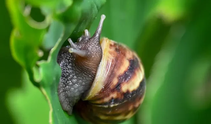 சுவிட்சர்லாந்தில்