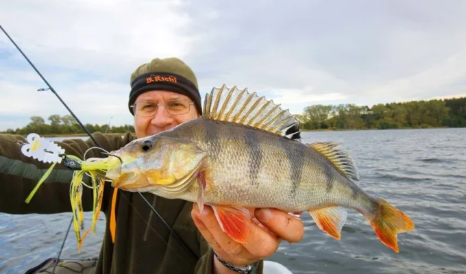 barschkoeder 2 1200x800 1