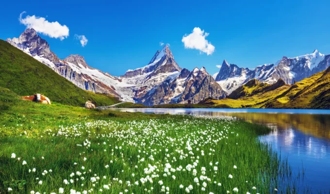 சுவிஸ் மலைகளில்