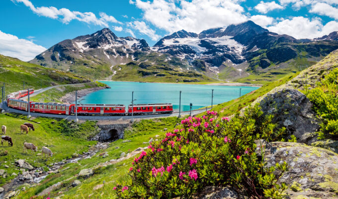 சுவிட்சர்லாந்தின்