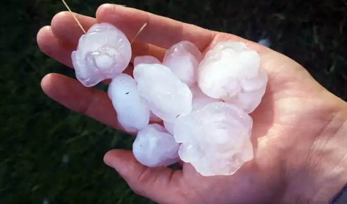 சுவிஸில்