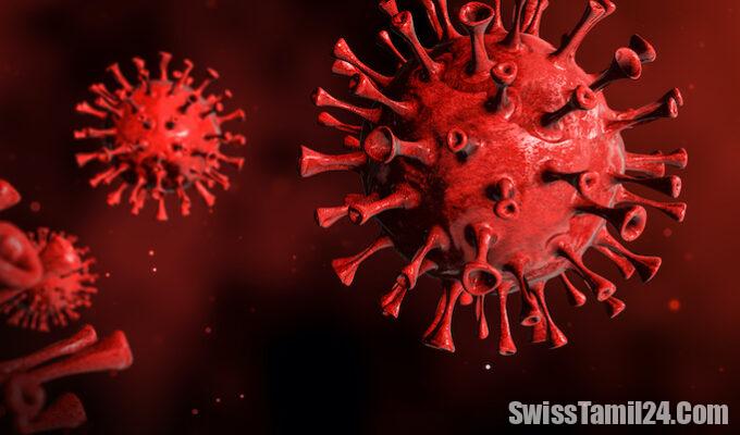 சுவிட்சர்லாந்தில்