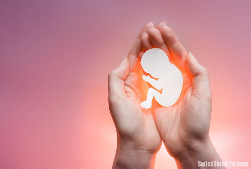 சுவிட்சர்லாந்தில் பெண்களின் கருக்கலைப்பு விகிதம் அதிகரிப்பு