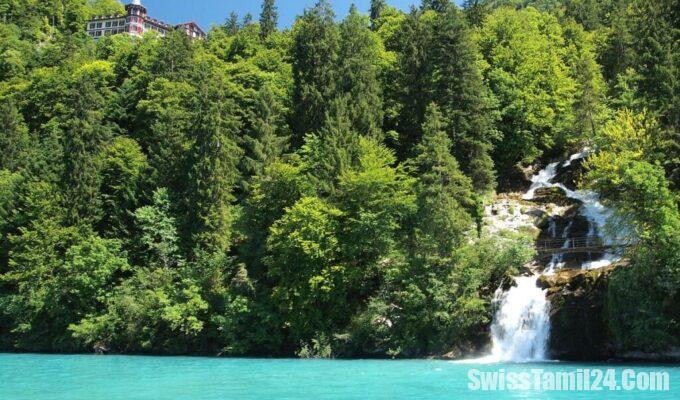 சுவிஸில்