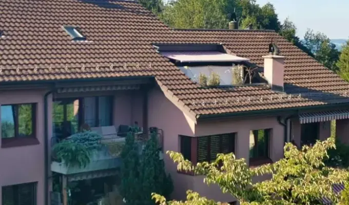 சகோதரனை