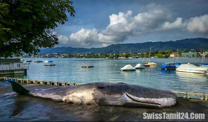 சூரிச்சில் 