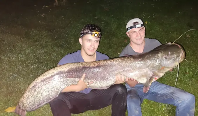 ஆர்கோவில்