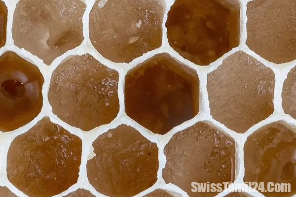 தேனீக்களுக்கே தேனால் வந்த சோதனை : அப்படி என்னதான் நடந்தது