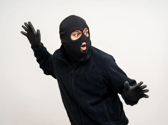 ஜெர்மன்- சுவிஸ் எல்லையில் 4 ஆண்டுகளுக்கு பின் பிடிபட்ட திருடன்