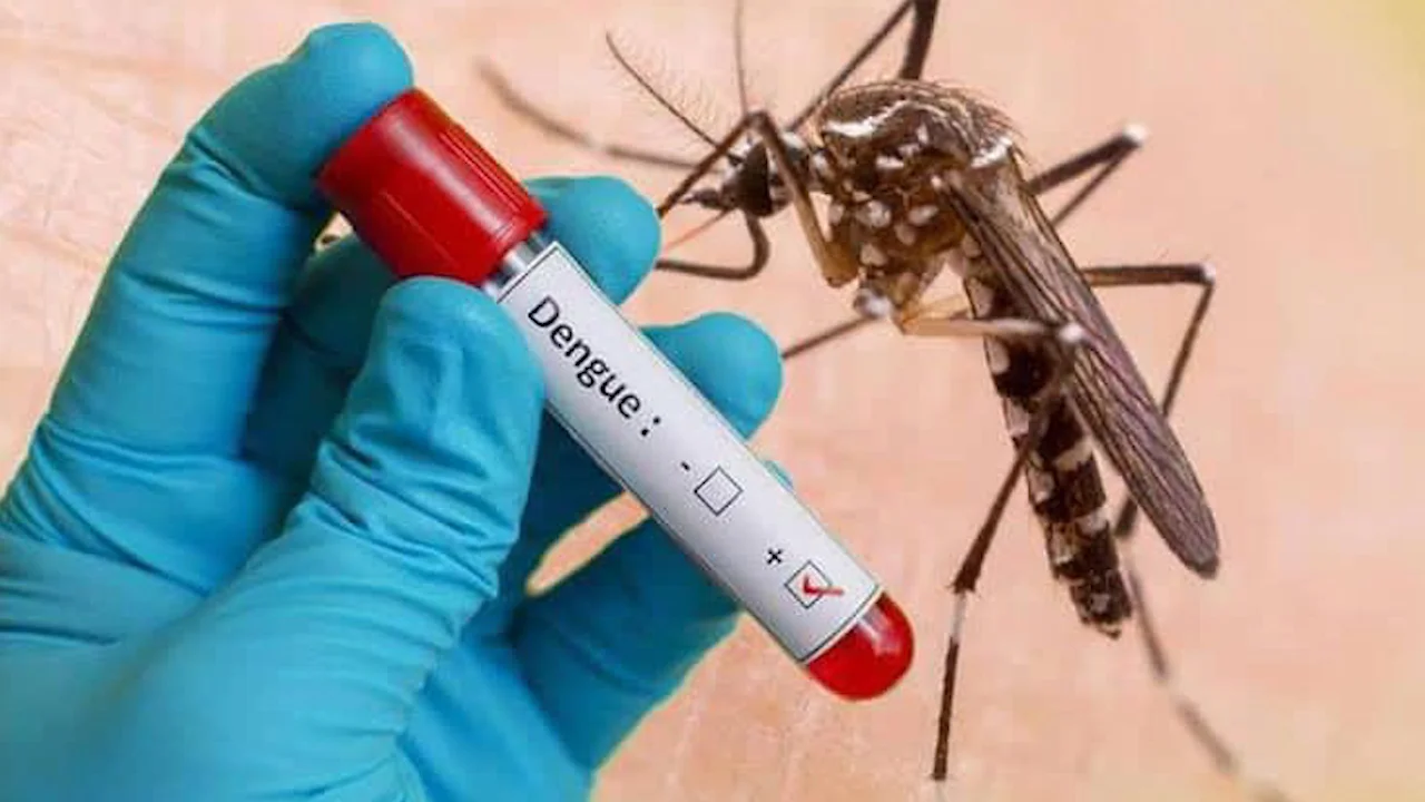 டெங்கு காய்ச்சலுக்கு எதிரான தடுப்பூசிக்கு சுவிஸ் அங்கீகாரம்