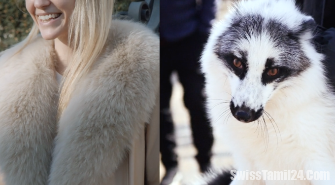 ரோமங்களில்