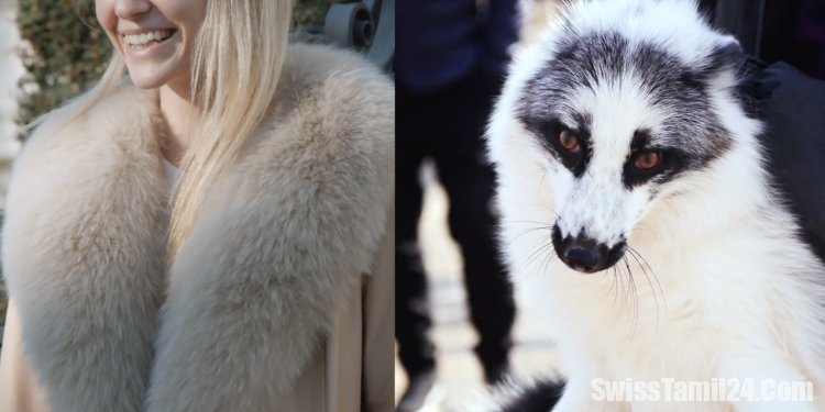 விலங்கு ரோமங்களில் உற்பத்தியாகும் ஆடைகளுக்கு சுவிசில் தடை.?