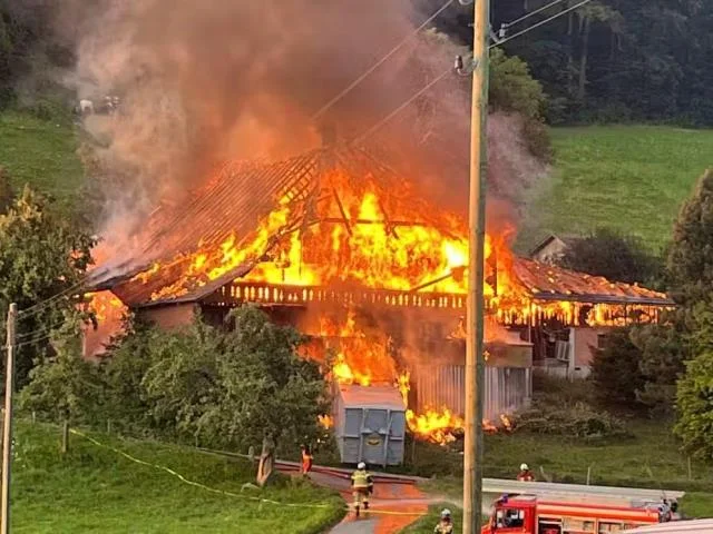 40 விலங்குகளுடன் பண்ணை வீடு தீக்கிரை