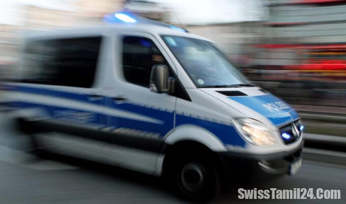 டிசினோவில்