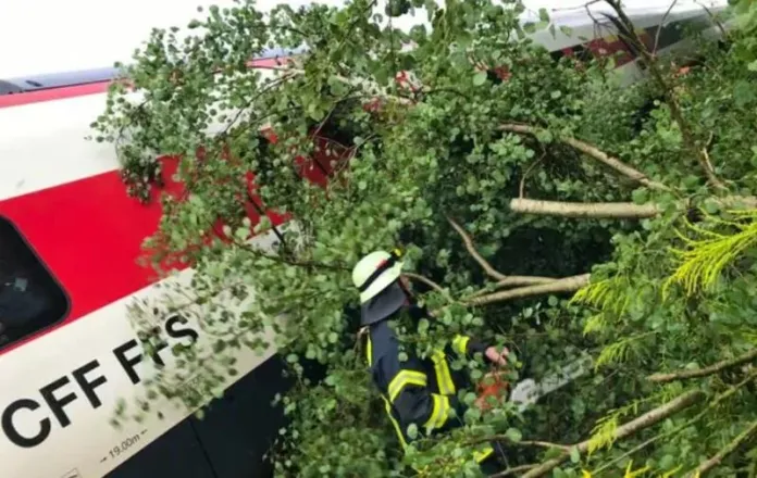 சூரிச் வந்து கொண்டிருந்த யூரோசிட்டி ரயில் மரத்தில் சிக்கியது