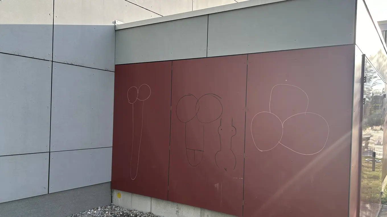 8b5655ea 4a4a 4d47 a449 d2a5f1eb1a9d