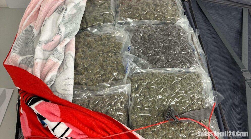 சூரிச் விமான நிலையத்தில் சுமார் 20 கிலோ கஞ்சா பறிமுதல்