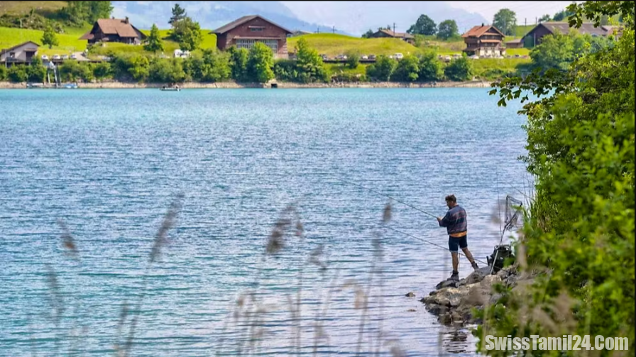 Protected: சுவிஸ் நன்னீர் மீன் வாழ்விடங்களுக்கு தீங்கு விளைவிக்கும் மனித செயற்பாடு