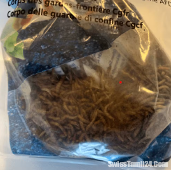 ஷாஃப்ஹவுசென்