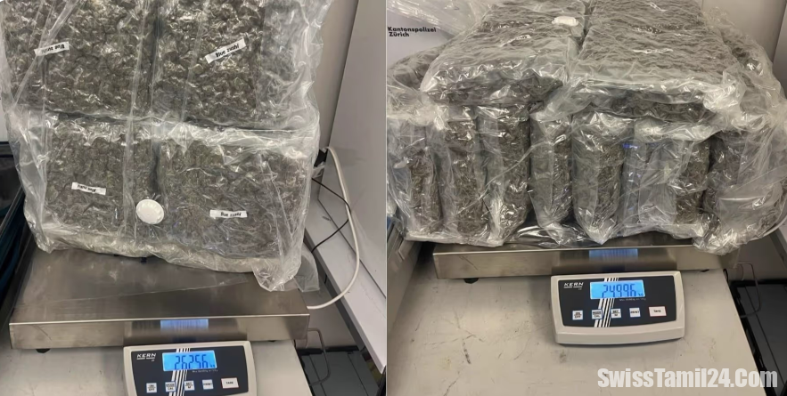 சூரிச் விமான நிலையத்தில் கைப்பற்றப்பட்ட பெருமளவு கஞ்சா போதைப்பொருள்