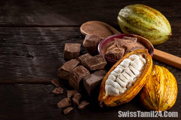 சுவிஸில் ஆய்வுக்கூடங்களில் உருவாக்கப்படும் கொக்கோ
