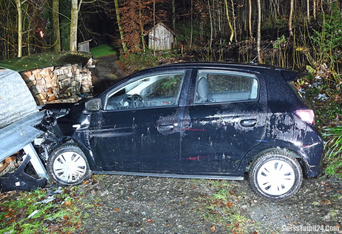 லுசேர்ன்னில் விபத்தில் சிக்கி கோமா நிலையில் தமிழ் பெண்.!!