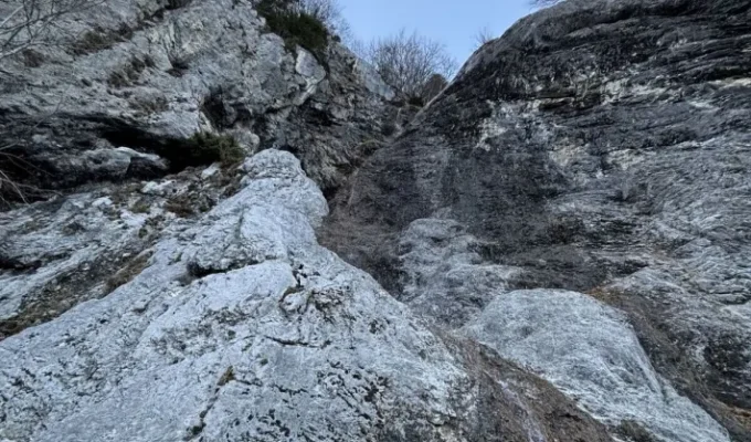 கிளாரஸ்