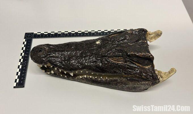 சூரிச் விமான நிலையத்தில்