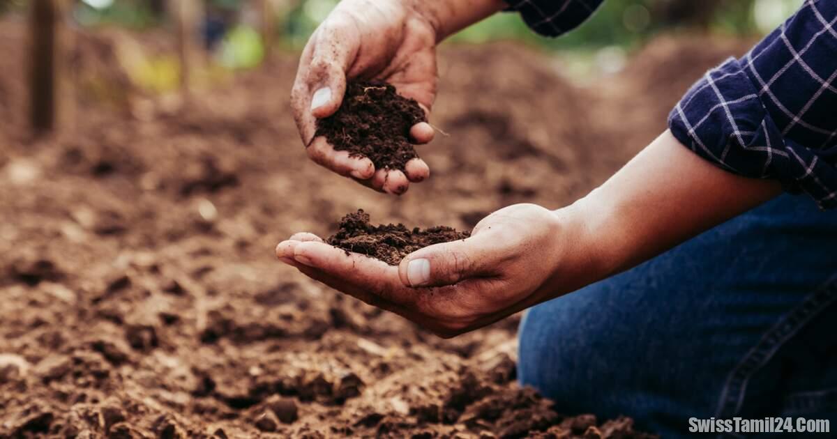 இறந்தவர்களின் உடலை உரமாக்க சூரிச்சில் புதிய திட்டம்