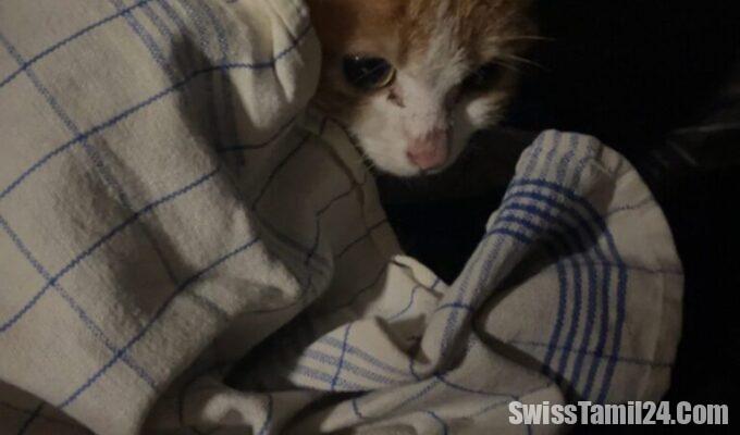 குப்பைத் தொட்டியில்